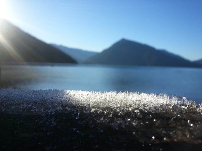 frosty wood at the edge of crescent lake