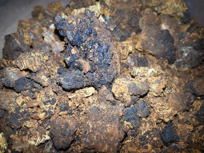 chaga chunks