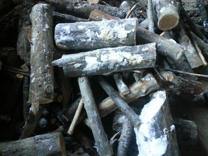 moar firewood