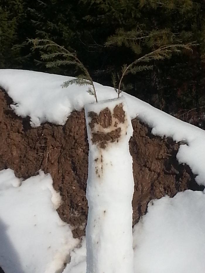 Jim's terrifying snow monster