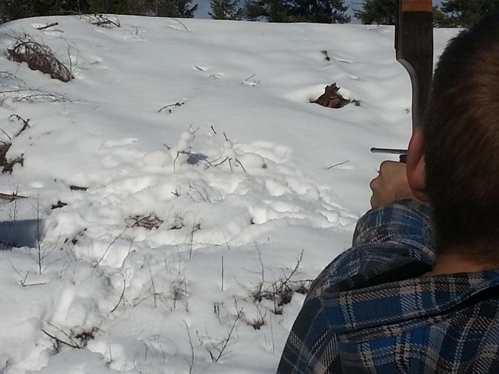 Jim about to murder my poor lil snow ants