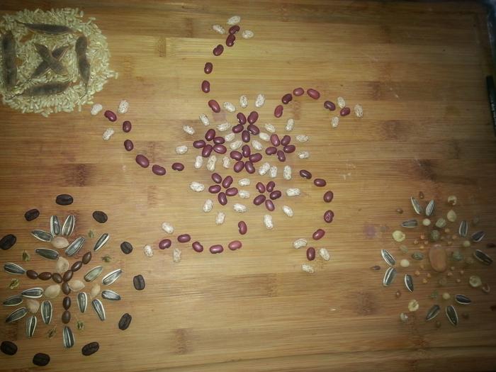 seed mandalas