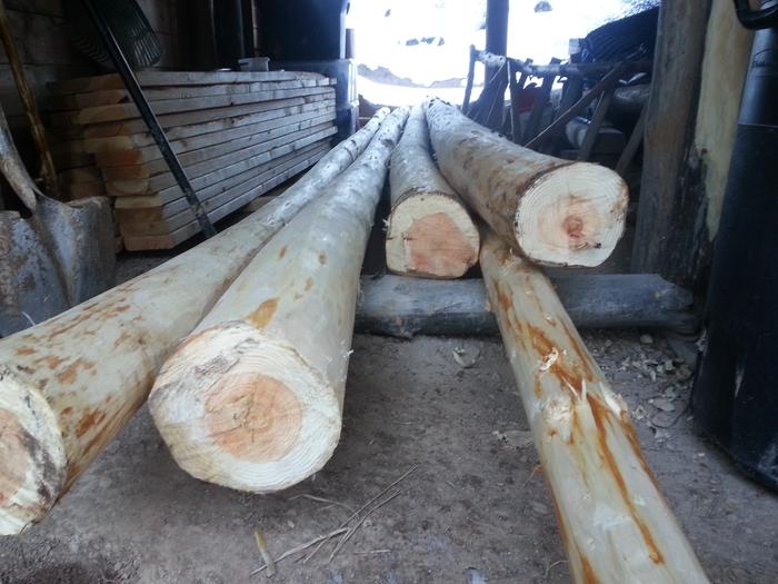 some peeled logs