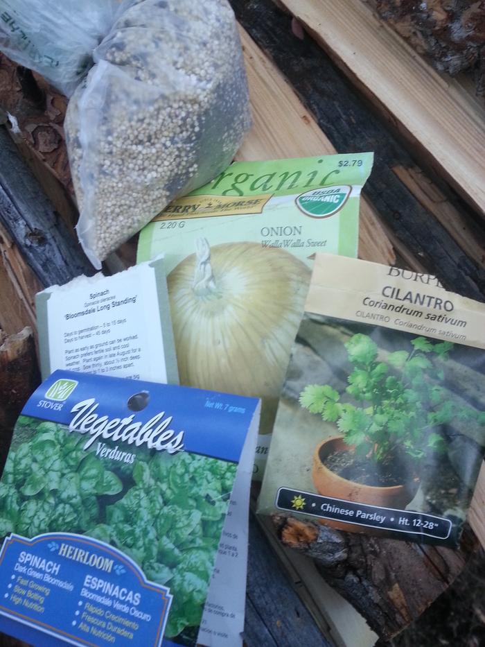 seeds from Scott, thanks Scott!, and quinoa