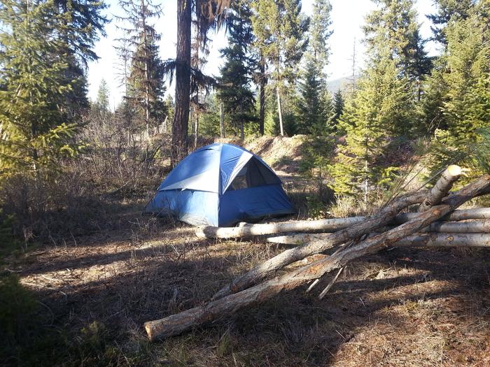 living in a tent in february in montana, has he come unhinged?