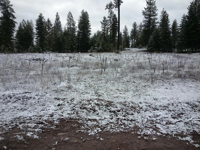 some snow on the frost-seeded ground