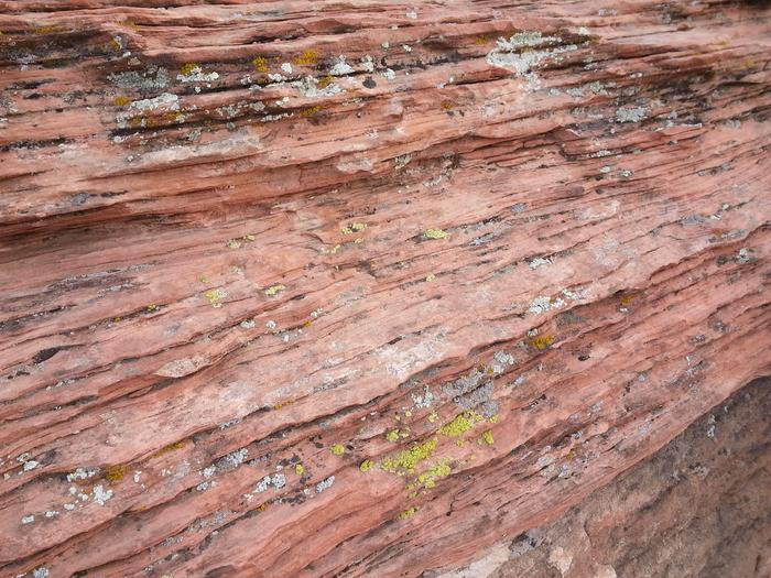 i'm lichen this striated rock