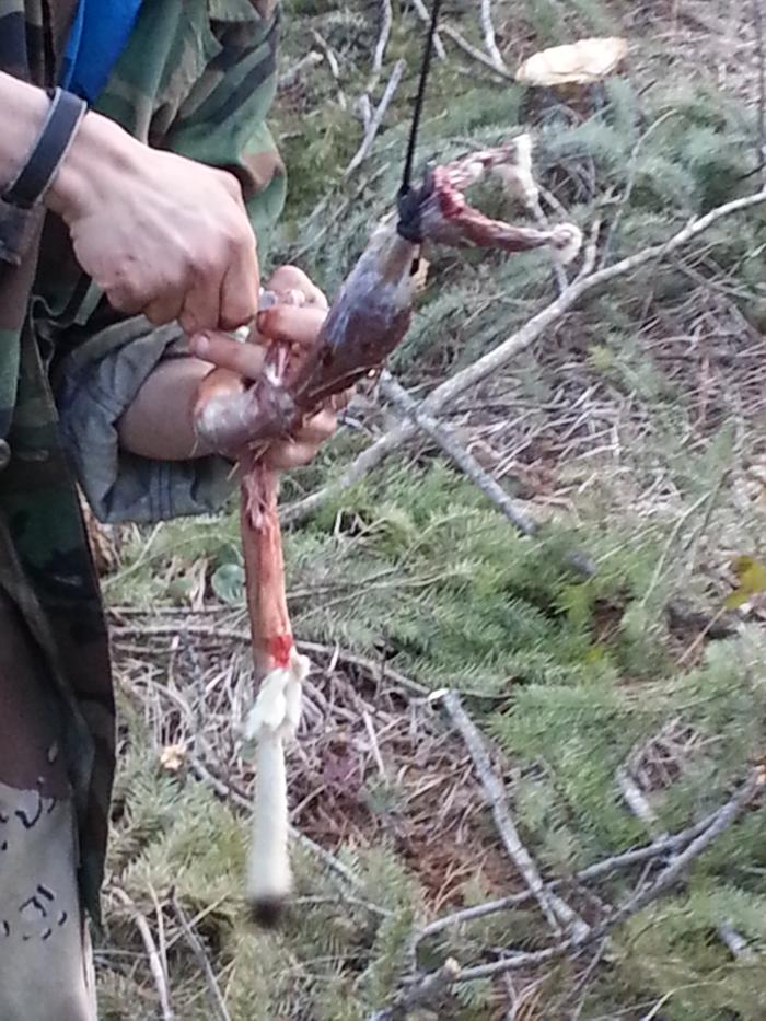 Sean almost done skinning the weasel