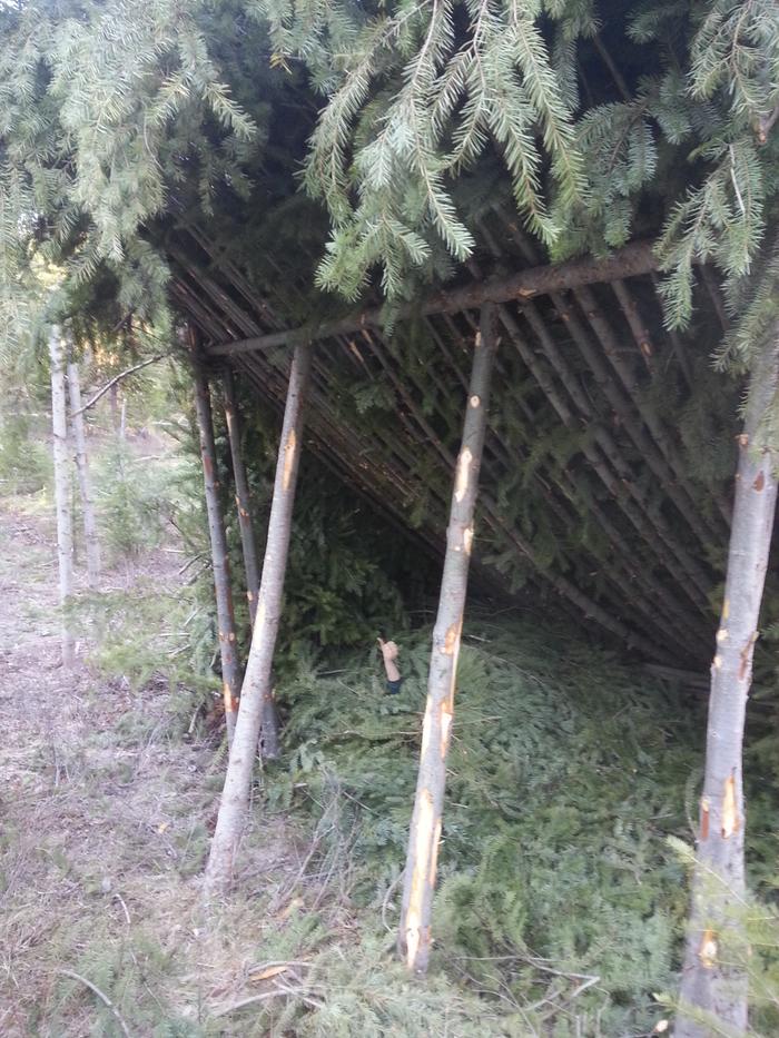 Sara testing out the debris shelter