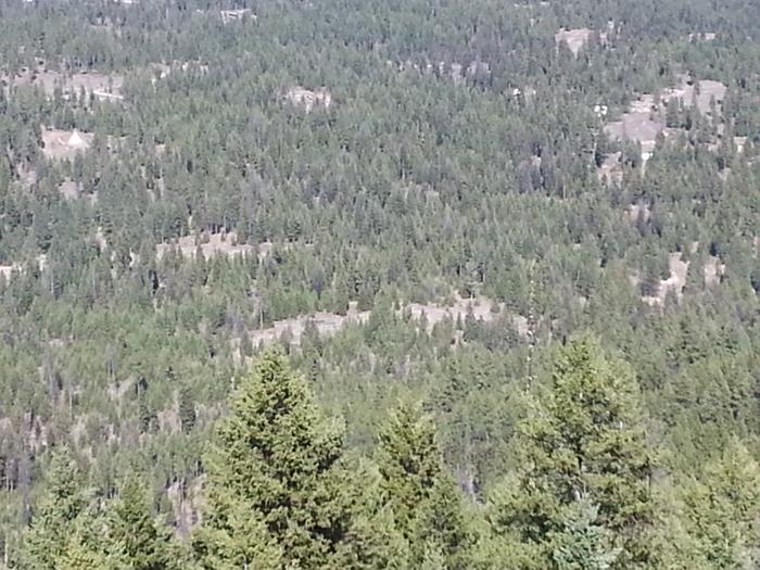 view of the lab from the top of solar ridge