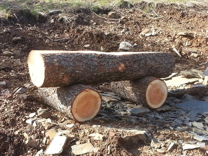 another bench made out of 3 logs