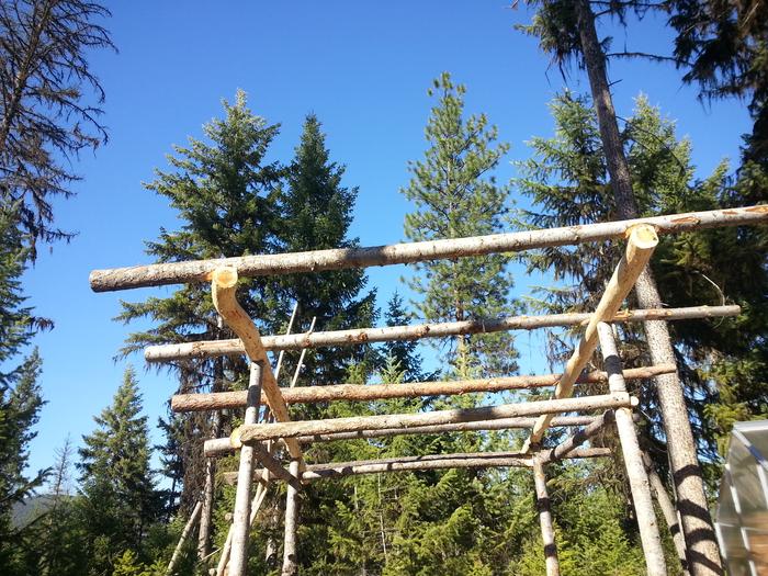 rafters on outdoor kitchen