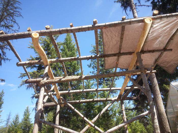 starting roof on outdoor kitchen