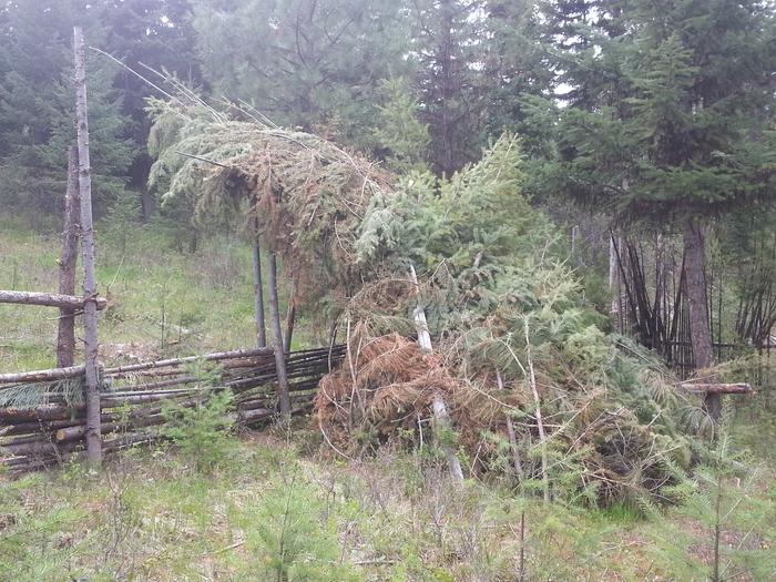 debris lean-to option