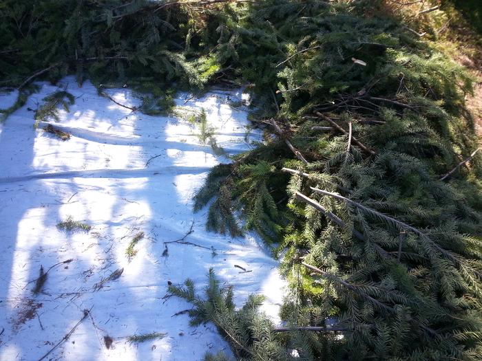 kitchen debris roof started