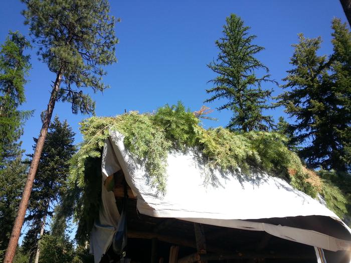 what kitchen? that's just a pile of debris