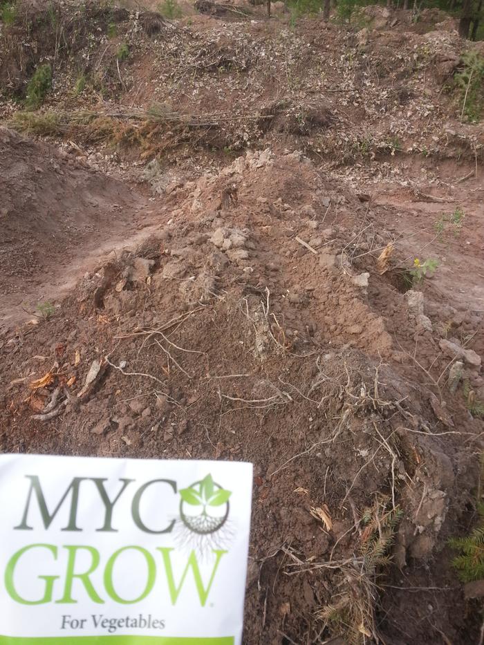 myco inoculated hugel 2