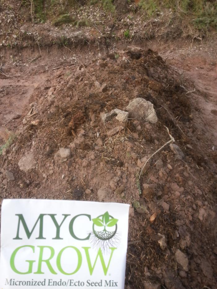 myco inoculated hugel 3