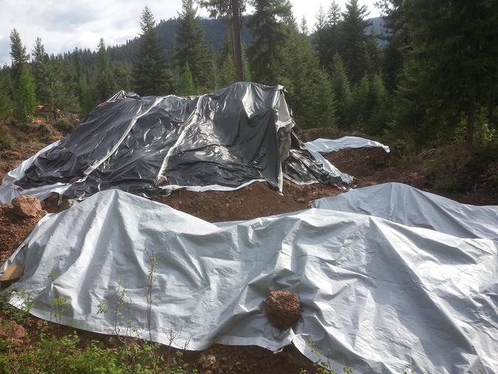 Siesta and dry dirt covered