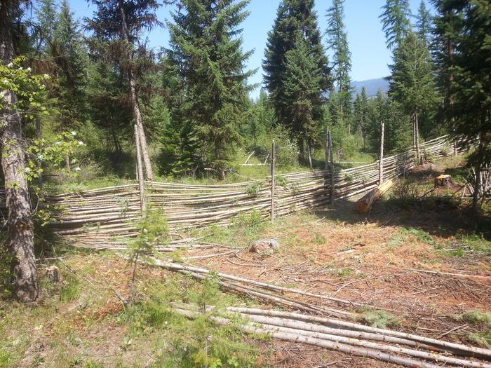 western border of Avalon fenced