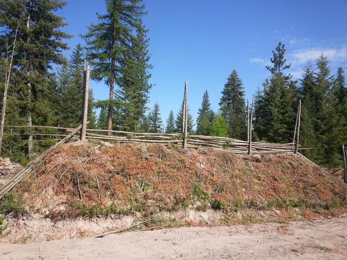eastern border of Anarcadeah fenced