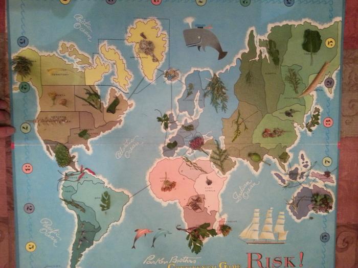 risk: the game of permaculture world domination
