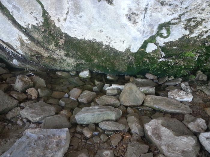 cliffside seep spring