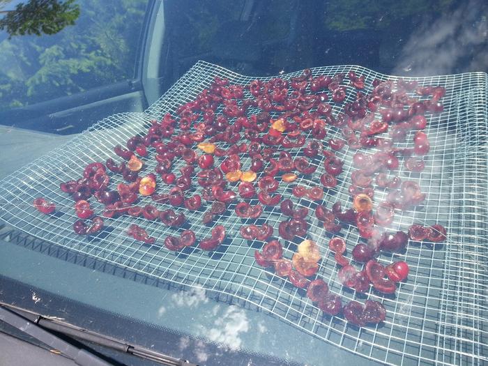 dashboard dehydration