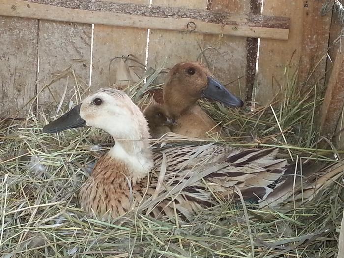 snuggles with proud moms