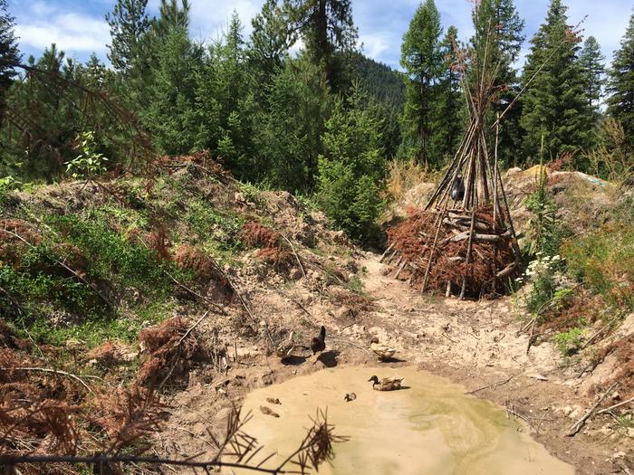 [Thumbnail for IMG_2120.JPG]