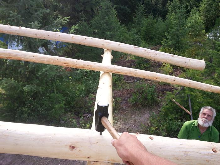 pounding in a rebar spike under Steve's supervision