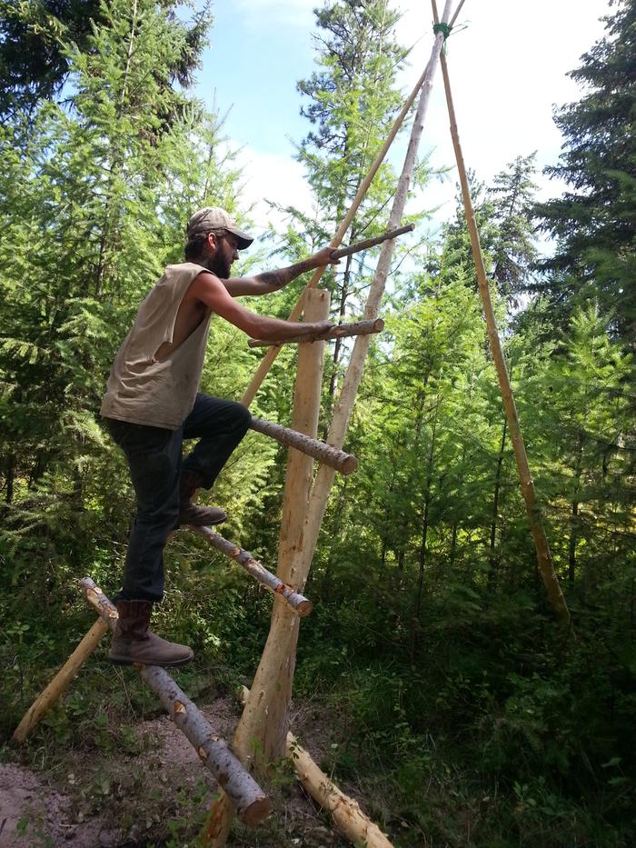 wild indig-ant Ben spotted climbing a ladder he built