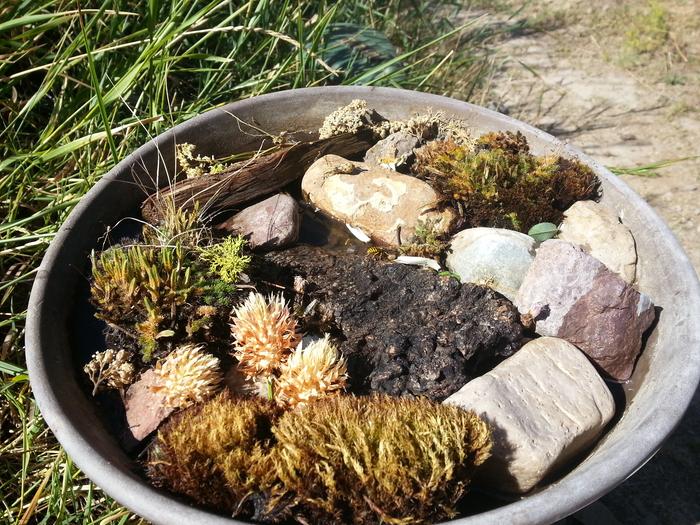 bee waterer at basecamp