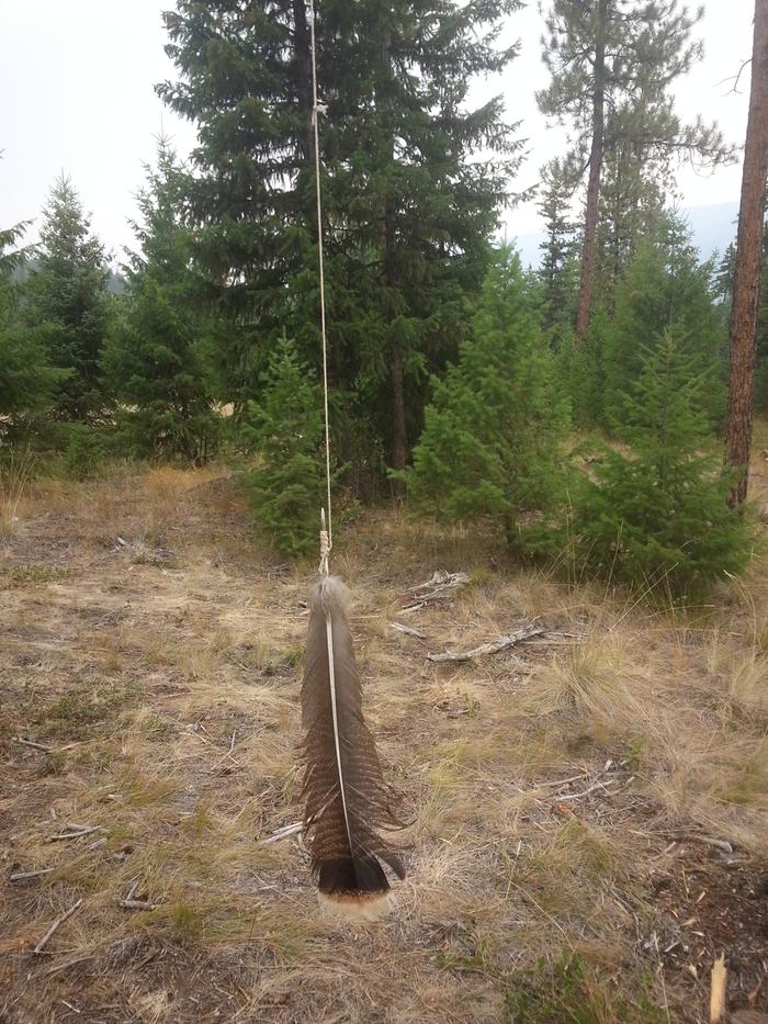 feather wind observation tool