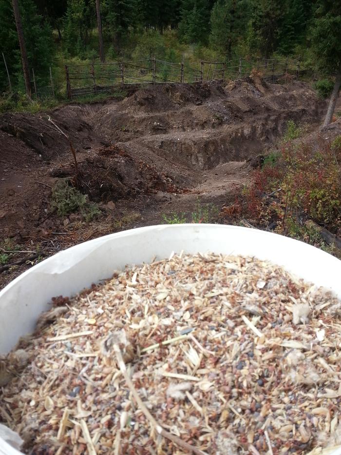 seeding Avalon with 100+ species polyculture