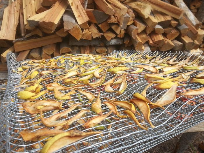 dried apples on a screen