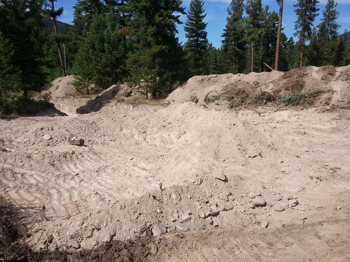 Janet's house site and some hugelberms