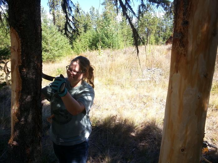 Janet peeling logs for her house