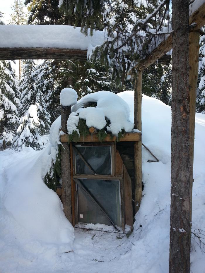 bear den snowy