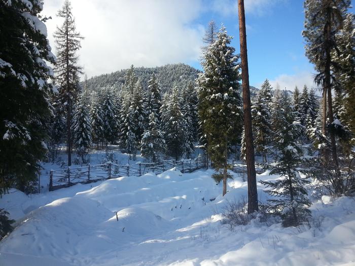 avalon snowy