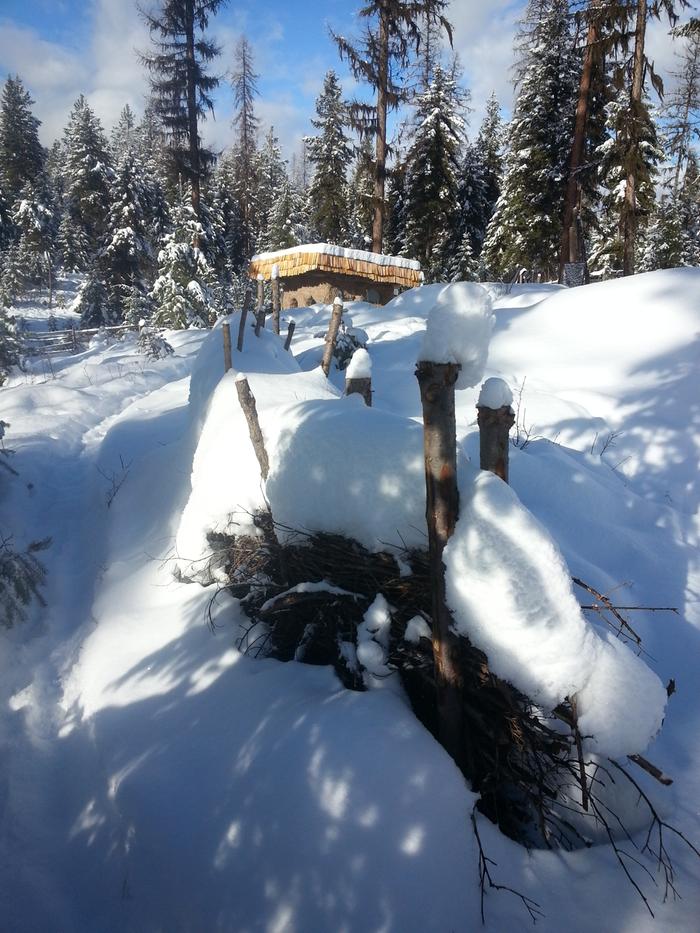 snowy lil brush paddock fence and yonder