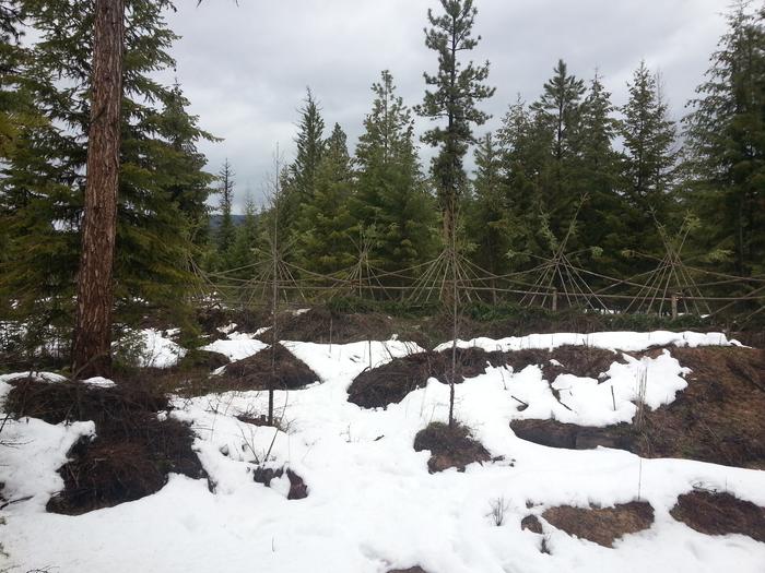 Kai's wicked teepee fence