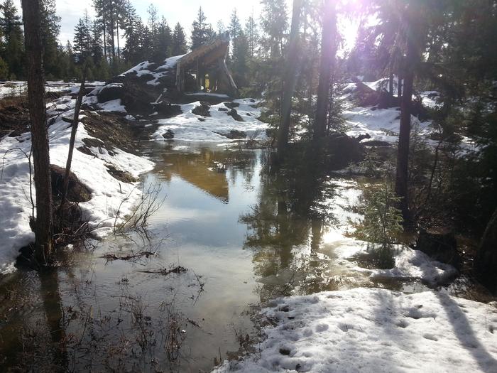 living creek below Jesse's house/bike-landing