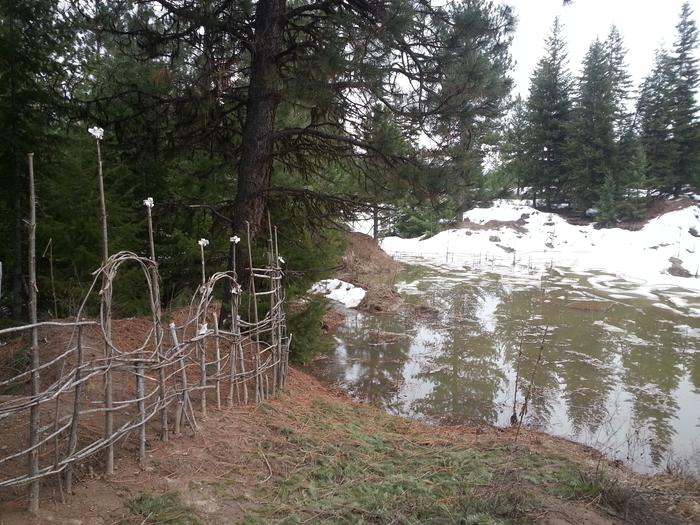 S2's fence on Sean's lakefront plot