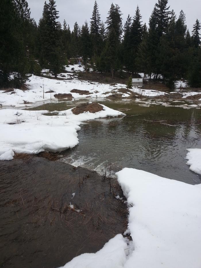 living creek cascading across pascal rd into cat pond