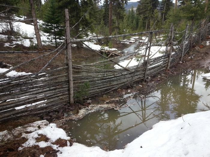 gabion and rock bridge across Dancing Lake overflow