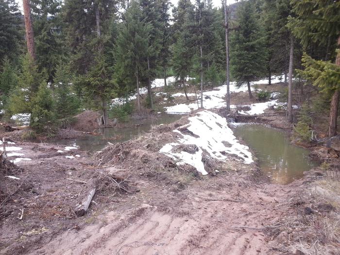 dam-ish berm and waterfall between Jesse's and Steve's