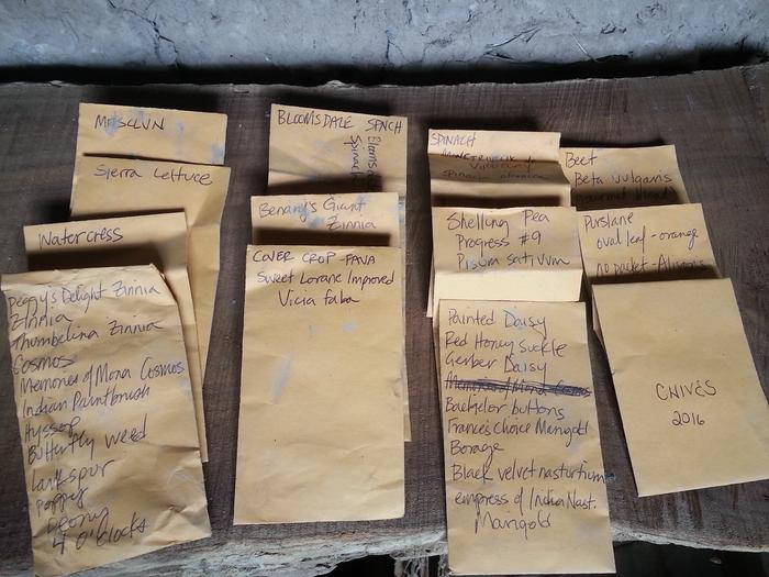 some recently planted seeds