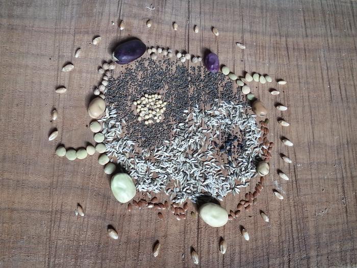 a little seed mandala