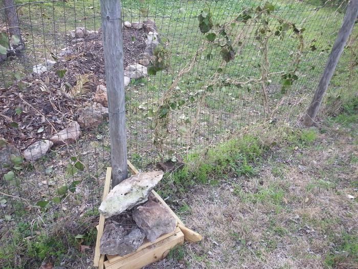 tiny rockjack fencepost